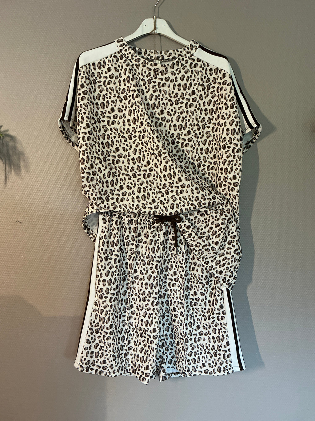 Leo – Kombi, Miami